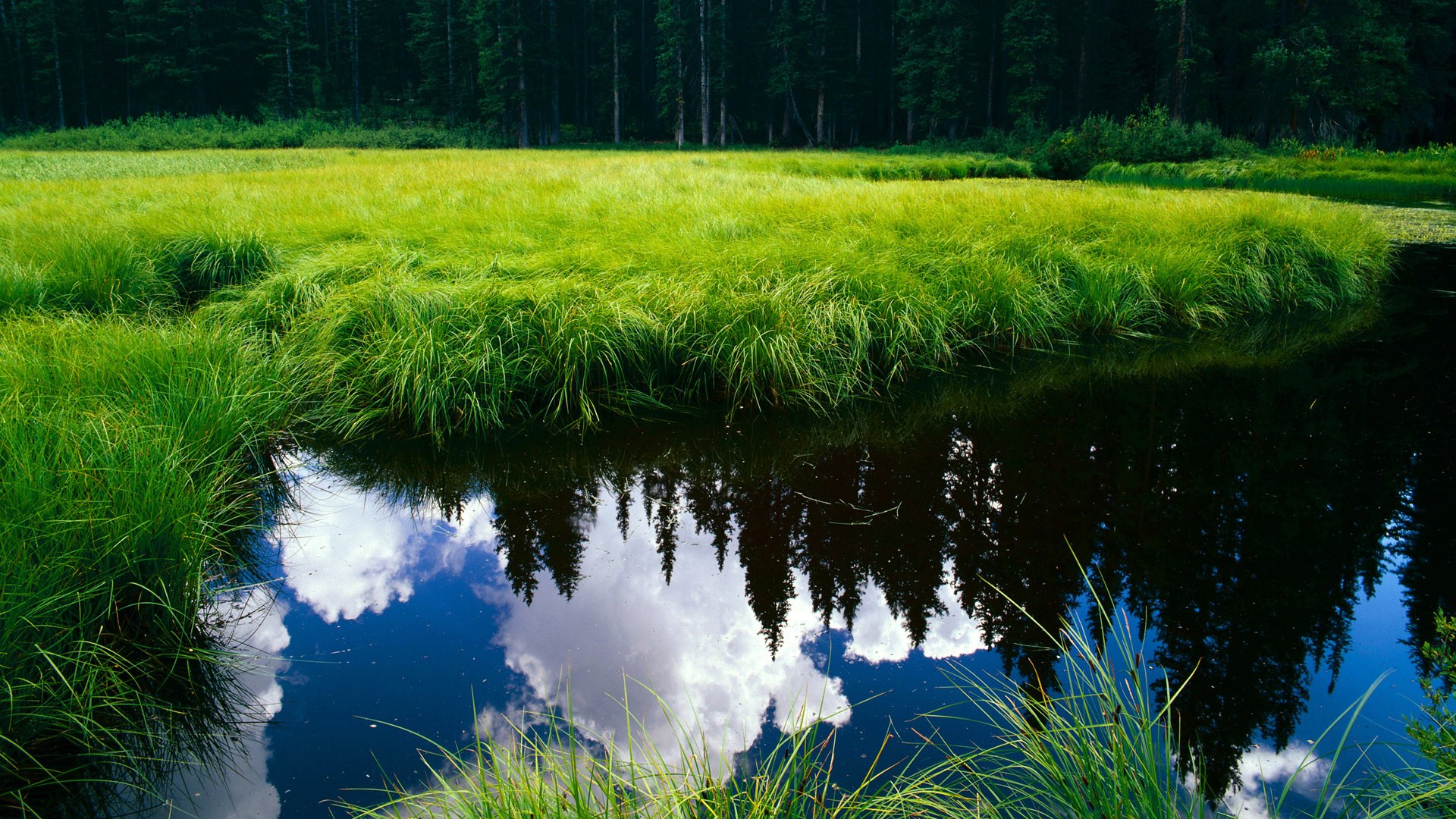 九游登录入口-法国举办篮球电影放映会，法国 篮球