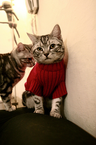 特色青训营地“互联网+”模式推动行业快速发展，行业格局渐明，特色训练营