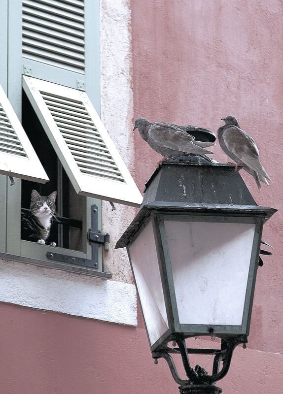 九游官方网站-足球人才定向培养计划覆盖五大省区，校园足球人才专业