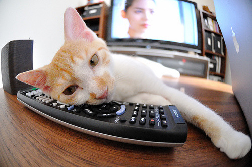 青少年“活力篮球”暑期辅导班在全国多地同步开启，青少年活动中心篮球