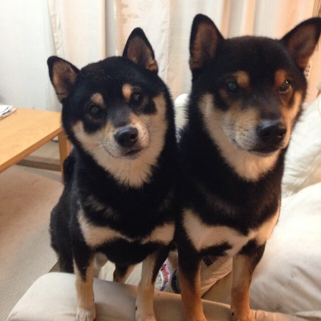 BLG开展职业选手体能与心理双重测评