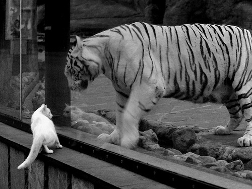 BLG开展职业选手体能与心理双重测评