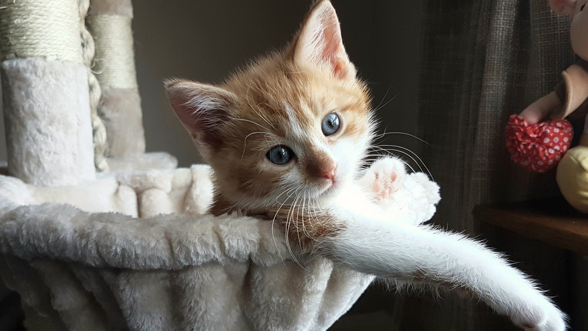 克罗地亚力克对手，晋级形势一片光明，克罗地亚的进攻能力