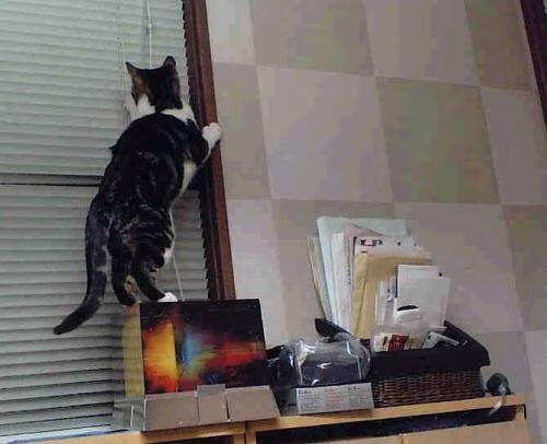 富勒姆主场惨败热刺，英超保级艰难形势不容乐观，富勒姆转会热刺