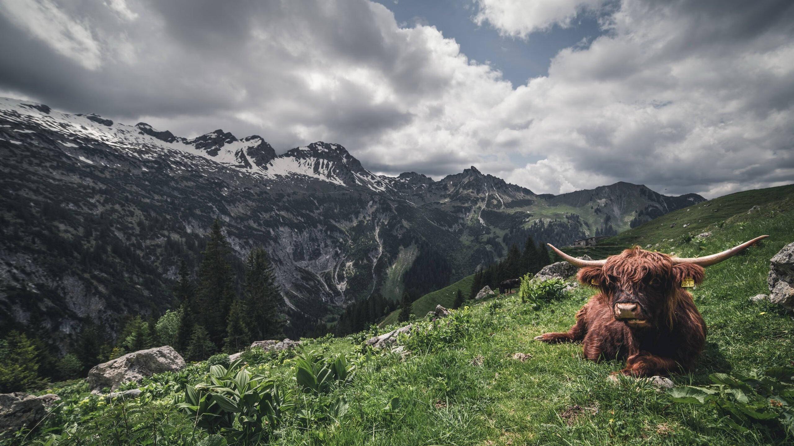 广东宏远 争夺MVP热门，广东宏远的比赛