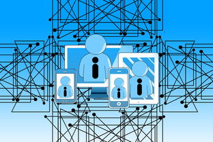 九游体育下载-NBA联盟裁判执法技术辅助研究，nba职业篮球裁判证
