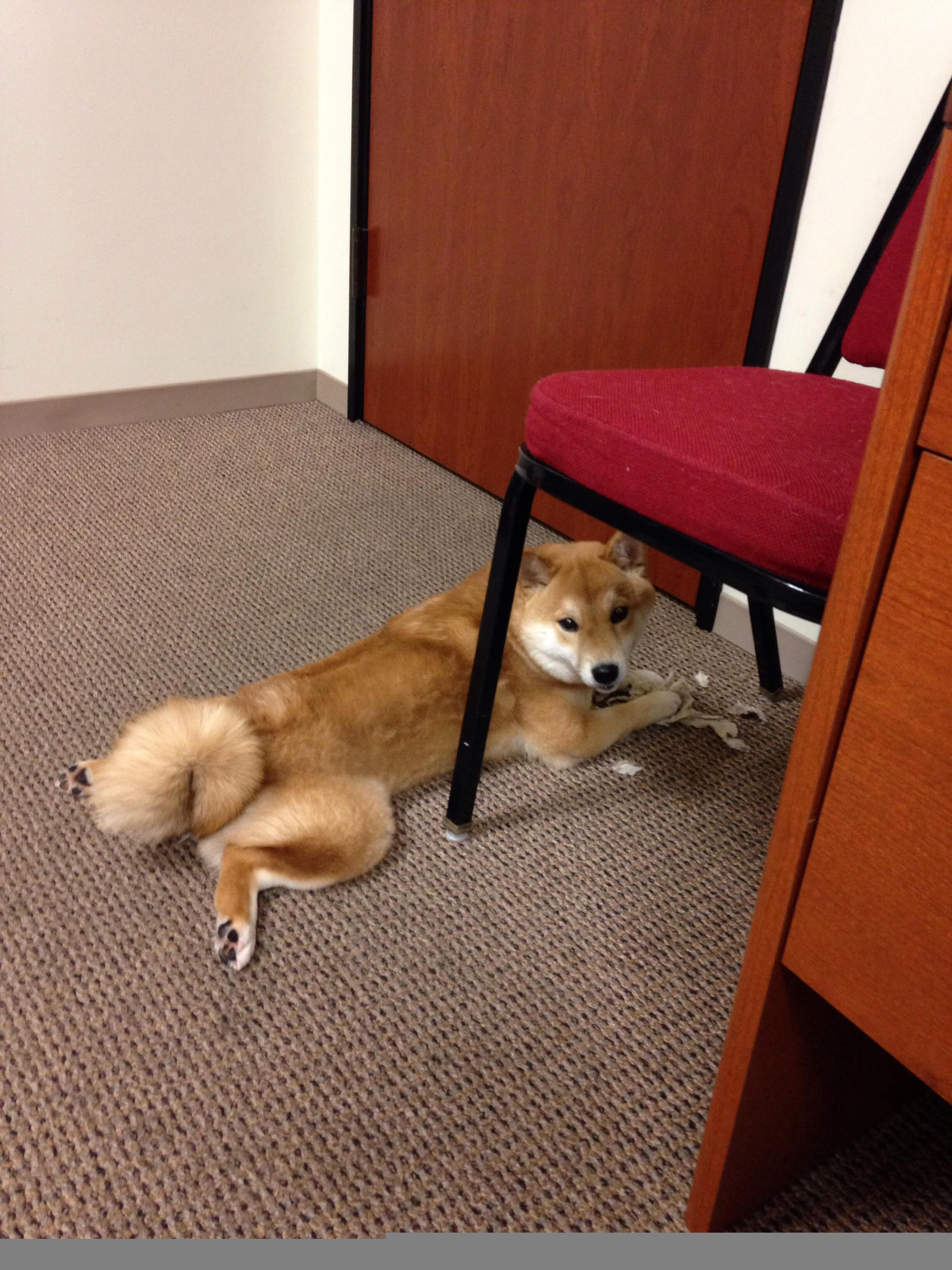 Chinese Taipei崭露头角,2024年世界杯进步显著,2024年世界杯在哪儿